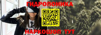 гашик Канаш