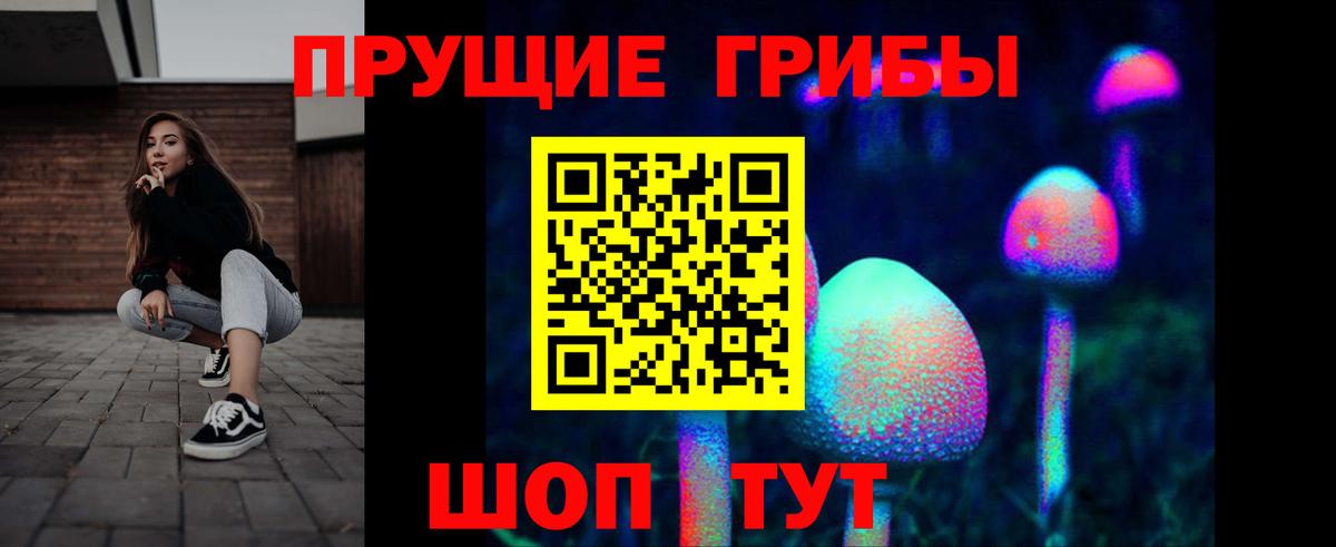 Людиново  Галлюциногенные грибы мухоморы  Псилоцибиновые грибы мицелий  купить   Вход с VPN 